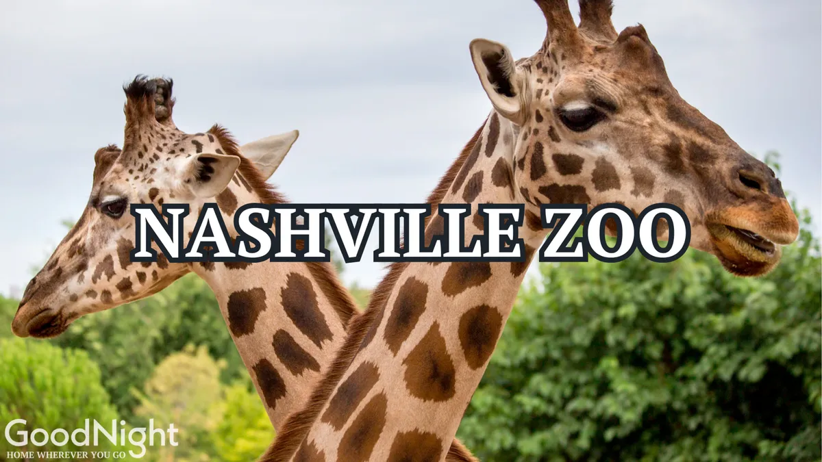 A cheerful, sunlit scene featuring two giraffes in a lush green zoo environment, inviting families and children to observe and engage with wildlife. The setting offers a sense of joy, curiosity, and educational discovery, ideal for a family outing.